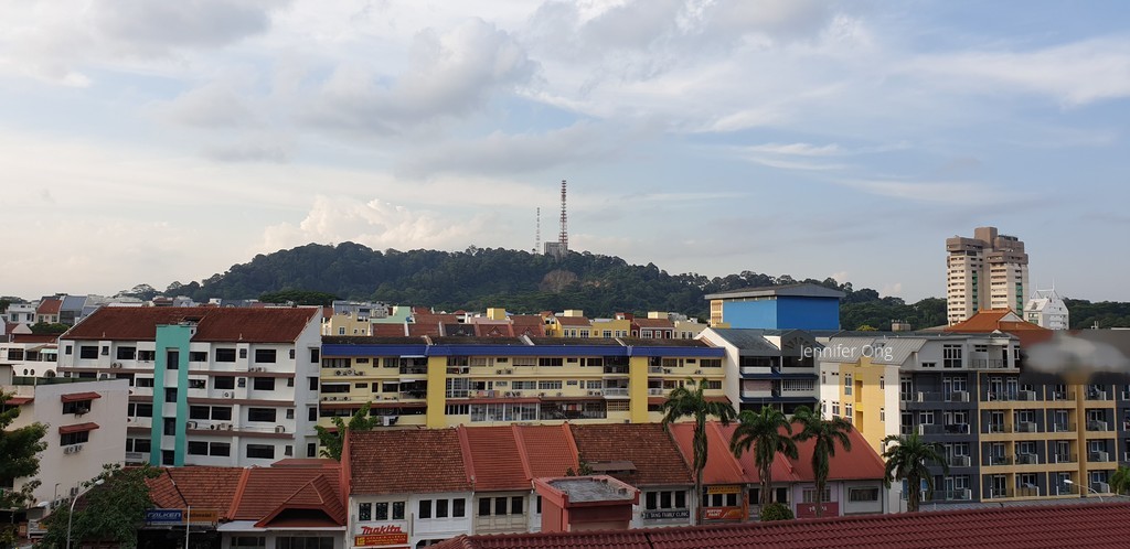 Blk 17 Toh Yi Drive (Bukit Timah), HDB 5 Rooms #207342981